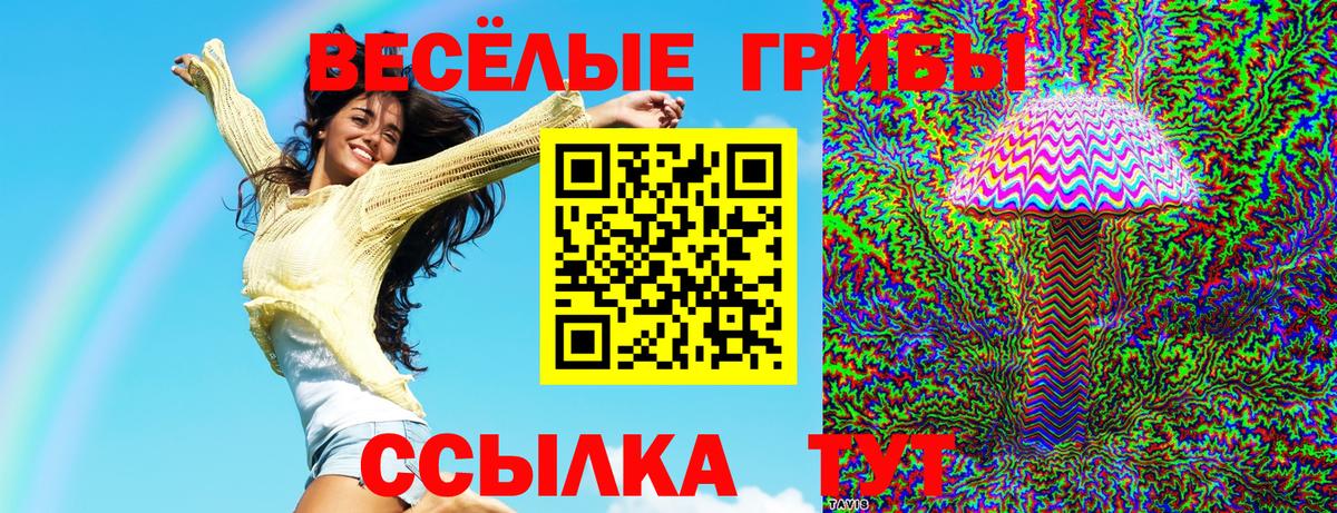 Псилоцибиновые грибы Psilocybe  Галлюциногенные грибы мицелий  Вход с VPN  Мурино 