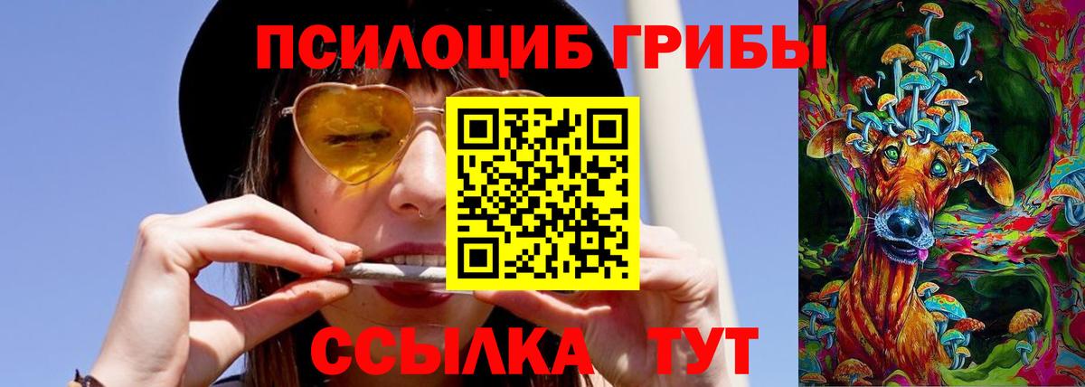 Псилоцибиновые грибы Magic Shrooms Мурино